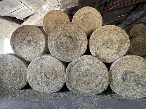 Lucerna körbála Eladó Lucerna körbála Eladó