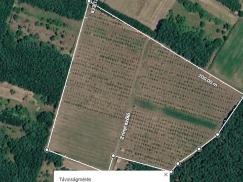 Eladó 3,65 ha öntözhető gyümölcsös Hajdúböszörmény és Hajdúhadház közelében Eladó 3,65 ha öntözhető gyümölcsös Hajdúböszörmény és Hajdúhadház közelében