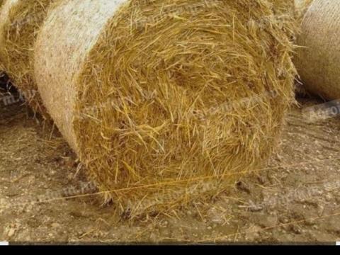 Körbálás szalma eladó Körbálás szalma eladó