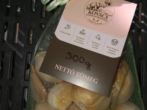 Elefántfokhagyma Elefántfokhagyma
