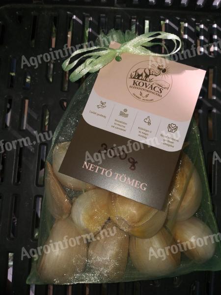 Elefántfokhagyma