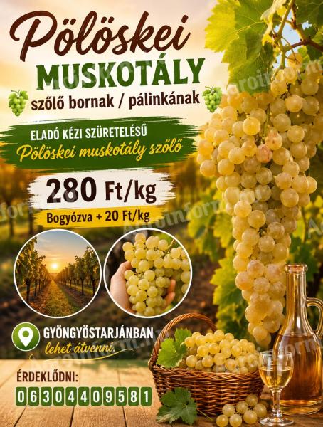 Eladó kézi szüretelésű Pölöskei muskotály szőlő bornak / pálinkának