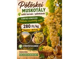 Eladó kézi szüretelésű Pölöskei muskotály szőlő bornak / pálinkának