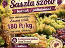 Eladó kézi szüretelésű Saszla szőlő bornak / pálinkának