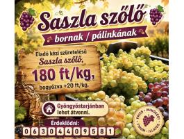 Eladó kézi szüretelésű Saszla szőlő bornak / pálinkának