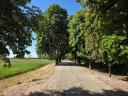 Telek/ ingatlan 14.000 m2