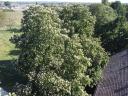 Telek/ ingatlan 14.000 m2