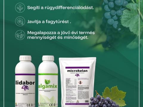 Szőlő-gyümölcs tápanyag feltöltő csomag 10ha