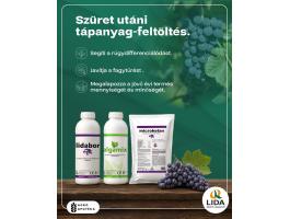 Szőlő-gyümölcs tápanyag-feltöltő csomag 5ha