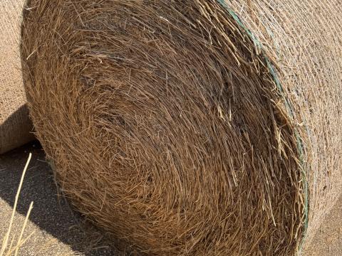Bíborhere széna eladó – 150 cm körbálák Bíborhere széna eladó – 150 cm körbálák