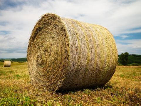 Szalma bála Szalma bála