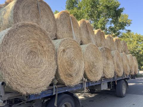 Eladó vetett fűkeverék széna – 140 cm-es körbálák