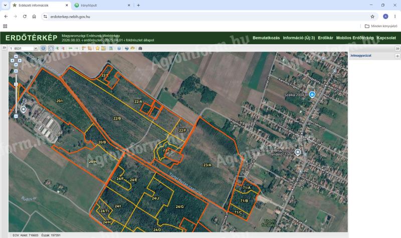 Törtelen 39,3 ha nemesnyár erdő és 0,5 ha legelő eladó