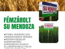 Fémzárolt Saaten-Union őszi búza vetőmagok
