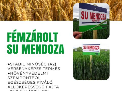 Fémzárolt Saaten-Union őszi búza vetőmagok