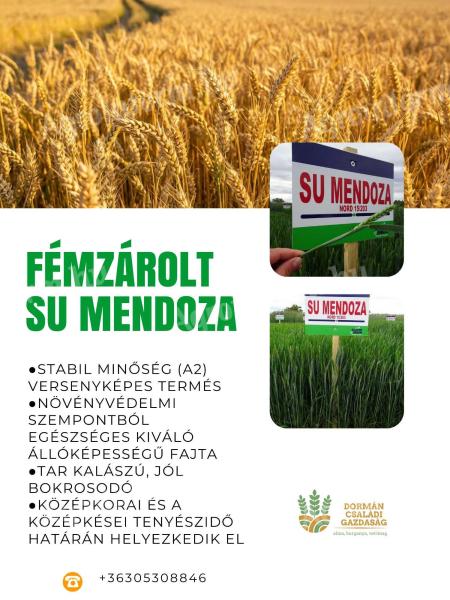 Fémzárolt Saaten-Union őszi búza vetőmagok