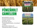 Fémzárolt Saaten-Union őszi búza vetőmagok