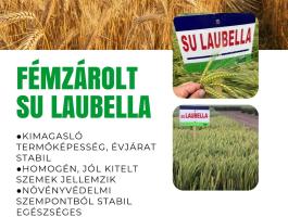 Fémzárolt SU Laubella őszi árpa vetőmag eladó