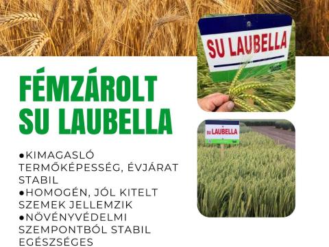 Fémzárolt SU Laubella őszi árpa vetőmag eladó