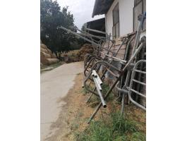 4 állásos halszálkás delaval fejőberendezés