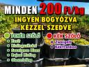 Minden szőlő akciós – kézzel szedve, ingyen bogyózva bornak, pálinkának