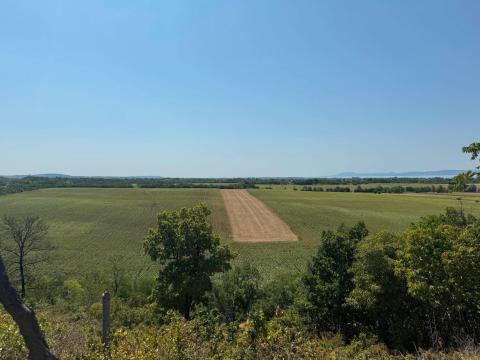 Balatonszárszó,  Almahegy