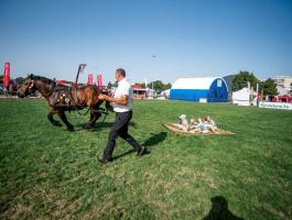 Keressen minket a debreceni Farmer Expon