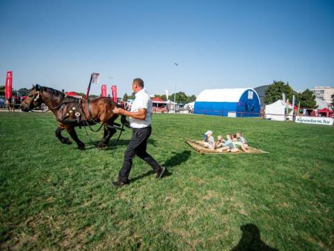 Keressen minket a debreceni Farmer Expon Keressen minket a debreceni Farmer Expon
