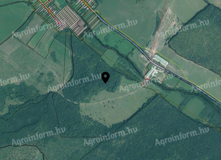 51, 2ha-os,  ranch kialakítására alkalmas,  legelő-erdő művelési ágú ingatlan eladó Ragályon