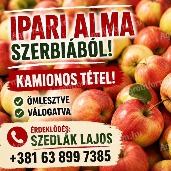 Ipari alma