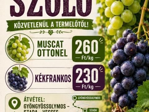 Kézi szüretelésű szőlő eladó Ottonel, Kékfrankos Kézi szüretelésű szőlő eladó Ottonel, Kékfrankos