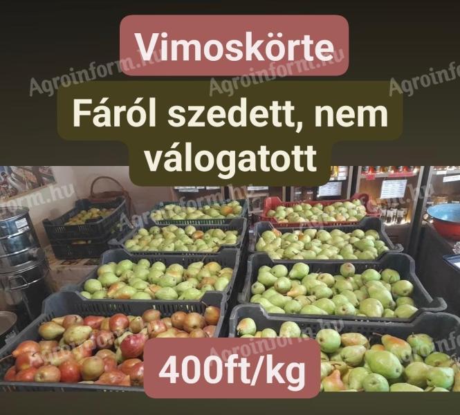 Vilmoskörte, Szentes