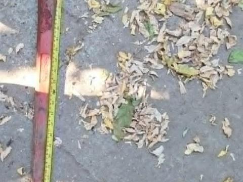 BPT 100 cm-es bálatüske anyacsavaros biztosítással BPT 100 cm-es bálatüske anyacsavaros biztosítással