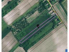 Előszállás 0,4 ha + 0,5 ha belterületi szántó haszonbérbe adó