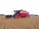 Massey Ferguson 40