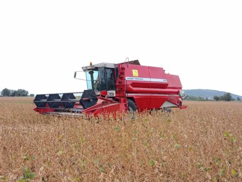 Massey Ferguson 40