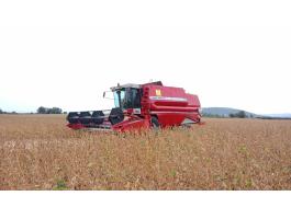 Massey Ferguson 40