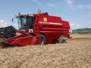 Massey Ferguson 40