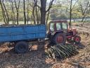MTZ 550 / 80