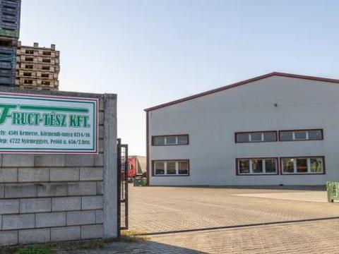Nemes bodza átvétel Nyírmeggyesen Nemes bodza átvétel Nyírmeggyesen