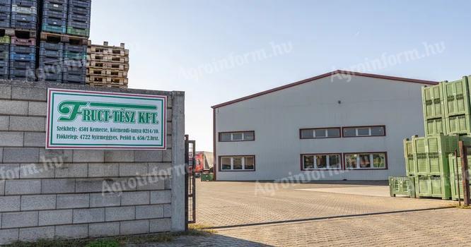 Nemes bodza átvétel Nyírmeggyesen