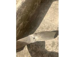 Elado csonakmotor propeller