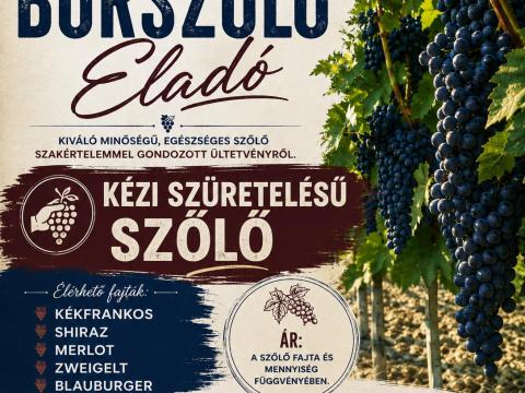 Szekszárdi borszőlő