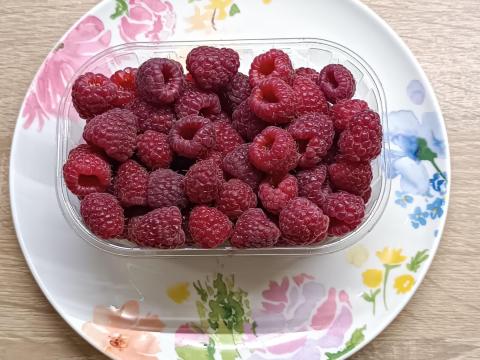 Frissen szedett málna eladó Frissen szedett málna eladó