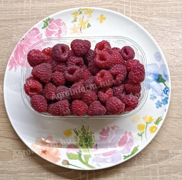 Frissen szedett málna eladó