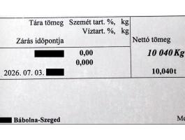 100,4 mázsa idei őszi takarmánybúza eladó Szeged közelében