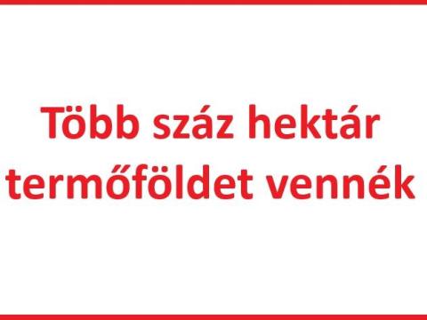 30-1000 hektáros mezőgazdasági területet vásárolnék