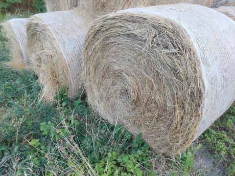 Körbála széna bála,  idei kaszálású rétiszéna