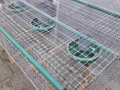 16 fakkos ketrec nyúlketrec kisállatketrec eladó