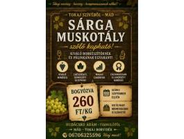 Sárga muskotály szőlő eladó